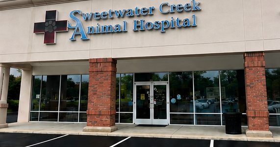After: clean storefront glass at Sweetwater Creek Animal Hospital